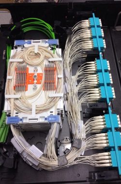 WhatsApp Image 2025-04-25 at 7.04.05 PM